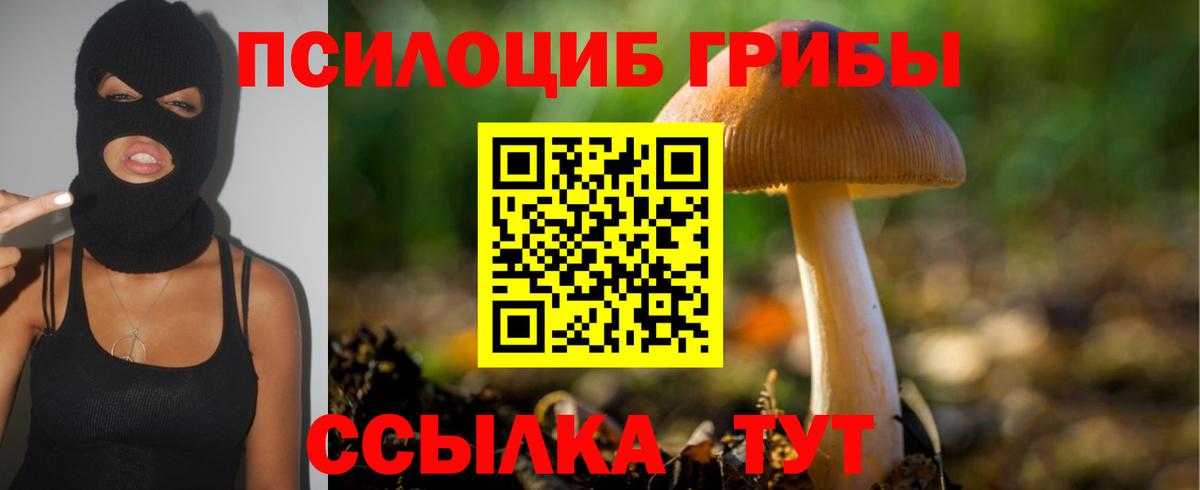Галлюциногенные грибы ЛСД Ипатово