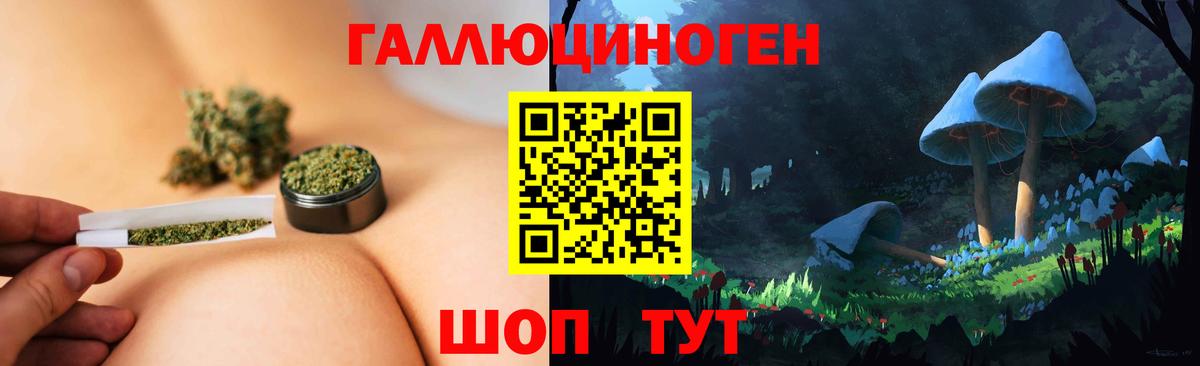 Ипатово  Псилоцибиновые грибы мухоморы  Вход с VPN  Псилоцибиновые грибы Cubensis 